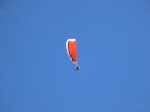 IMG_1241