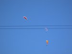 IMG_1291